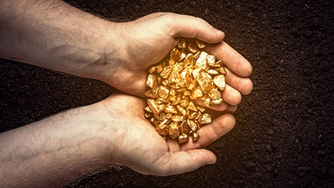 Image of two hands cupped together holding gold pieces.
